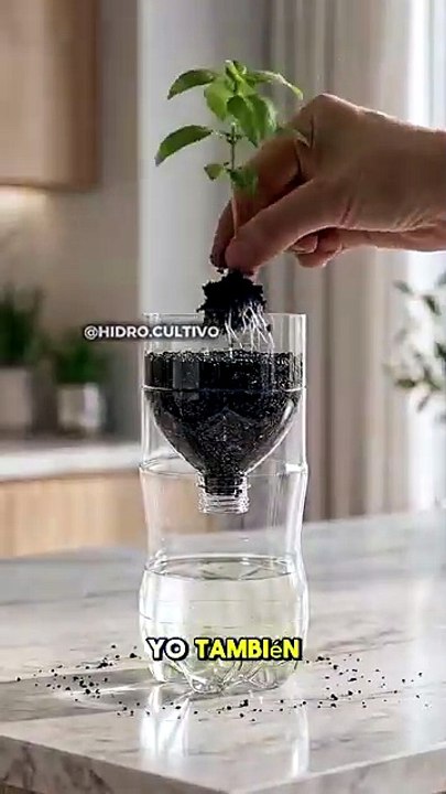 Aprende Hidroponia  #hidroponía
