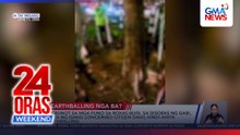Paraan ng pagbunot sa mga puno sa Roxas Blvd., pinuna ng isang netizen | 24 Oras Weekend