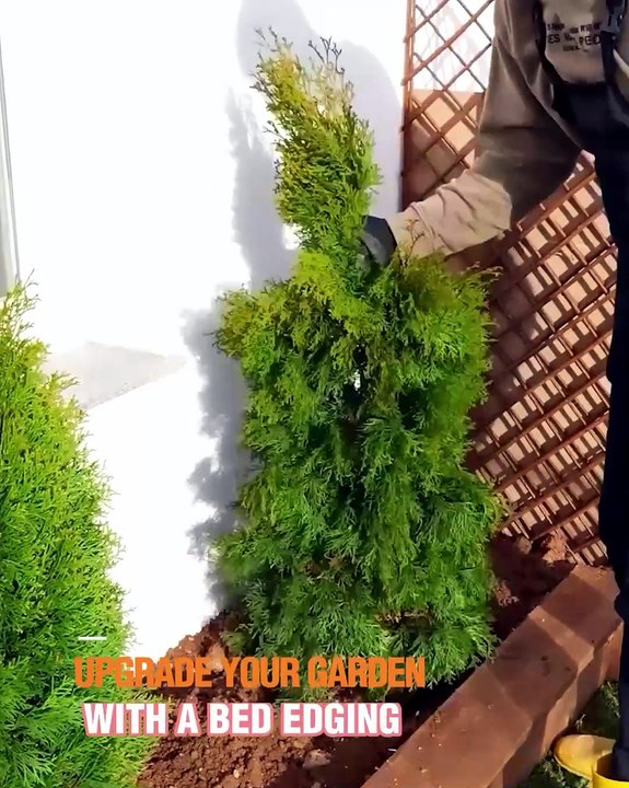 Level up your garden with this stylish bed edging!