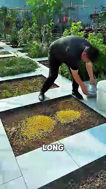 China’s Smart Backyard Farming System 🤯