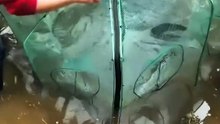 Secret Fish Trap Caught More Fish Than Expected! 🐟😱 #shorts