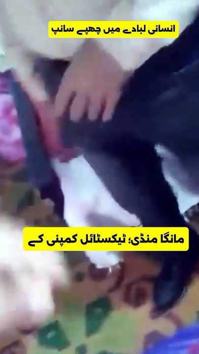 Style Textile Shamim Company Manager caught red-handed harassing female worker. 🚨