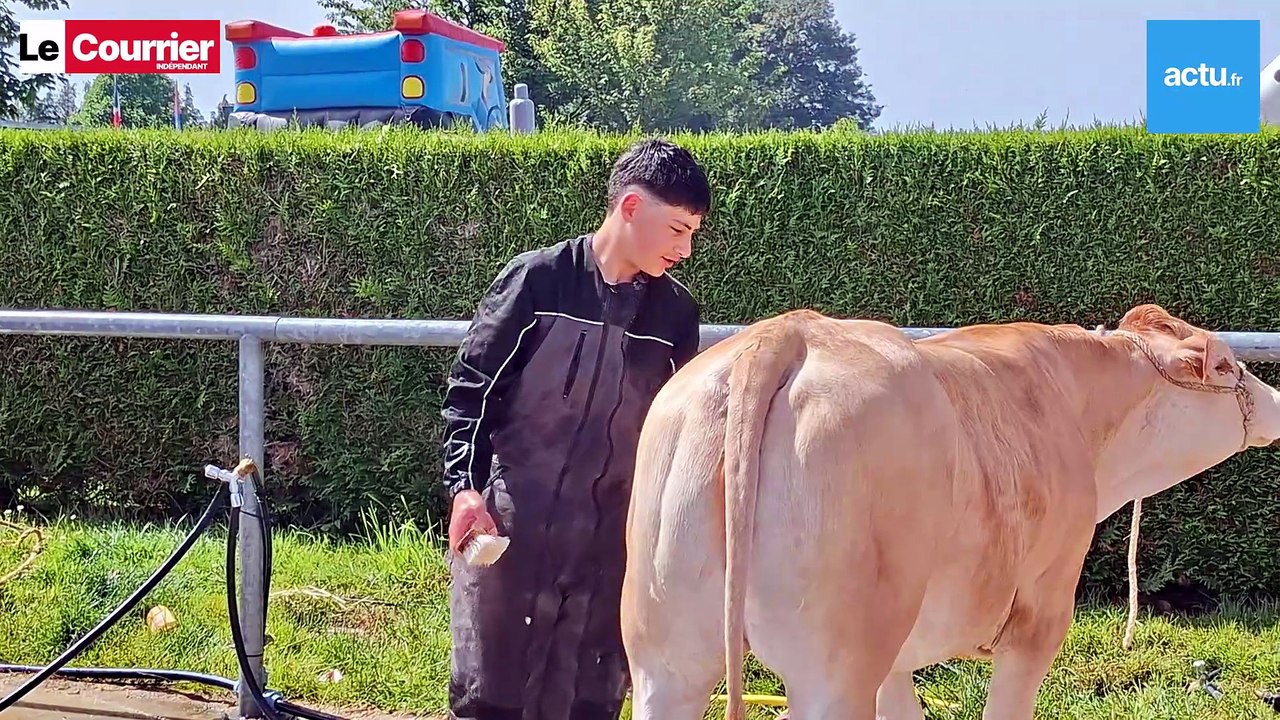 Terr'Armor à Loudéac : le salon de l'agriculture bat son plein