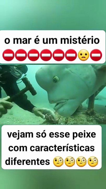 Peixe