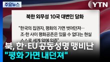 북, 한·EU 공동성명 맹비난..."평화 가면 내던져" / YTN