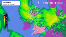 Surface Winds moving pollen In UK