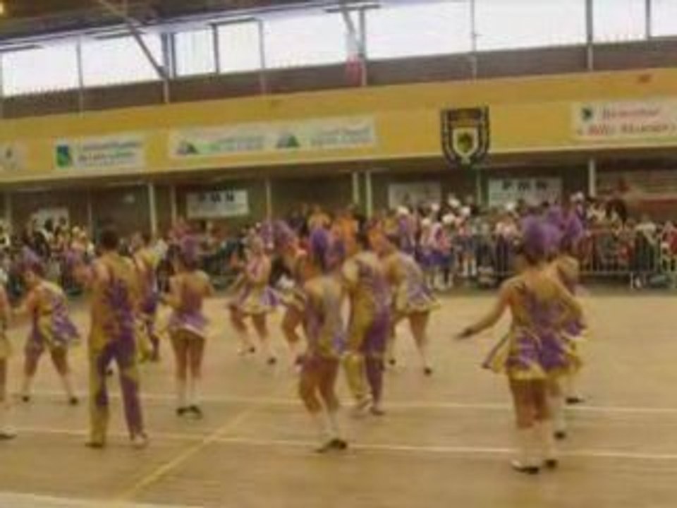 Video2008