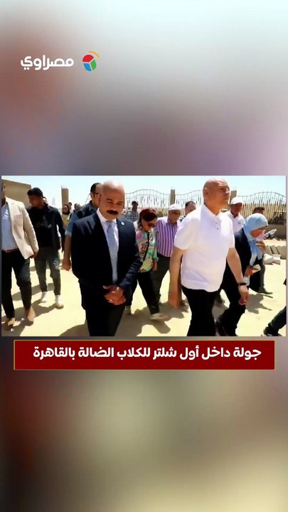 جولة داخل أول شلتر للكلاب الضالة بالقاهرة