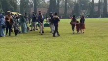 Young boy overwhelmed with joy as he reunites with his soldier brother