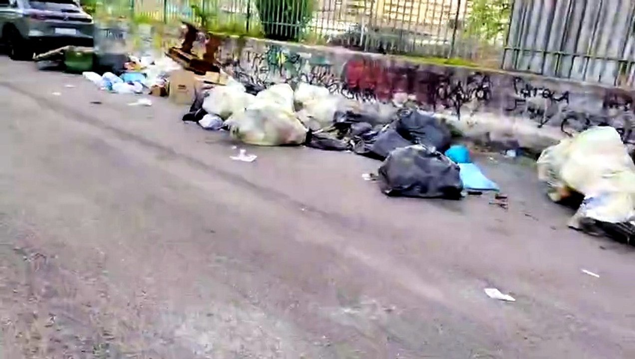 Il video della discarica a cielo aperto a Palermo