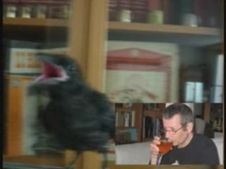 La Corneille et Le Gillou