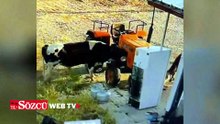 Yer: Konya! Görüntüsü olmasa kimsenin inanmayacağı bir olay daha