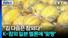 "김 다음은 참외다" K-참외 일본 멜론에 '맞짱' / YTN