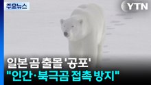 일본 곰 출몰 '공포'...살 곳 잃은 북극곰도 육지로 / YTN