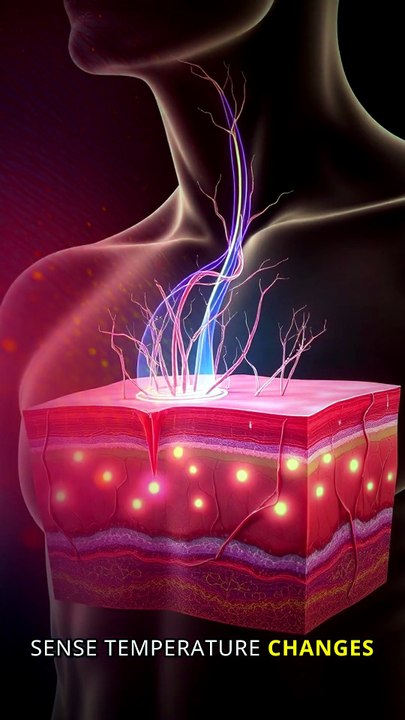 Your Body Has A Superpower In Space