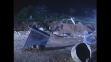 HD高清修復版  殭屍道長  01_30  楊飛雲與毛小方誓不兩立  林正英  徐少強  王書麒  容錦昌 粵語中字亞視經典劇集Asia TV Drama亞視 1995