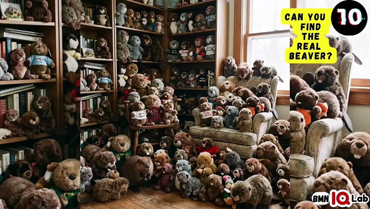 #YourEyesVsTheBeavers 👀⚔️🦫 Can You Find the Real Beaver? 🦫