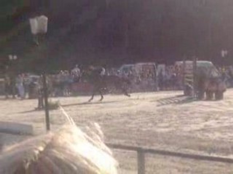 épreuve des 6 barres vittel 21 juin 2008 (34)