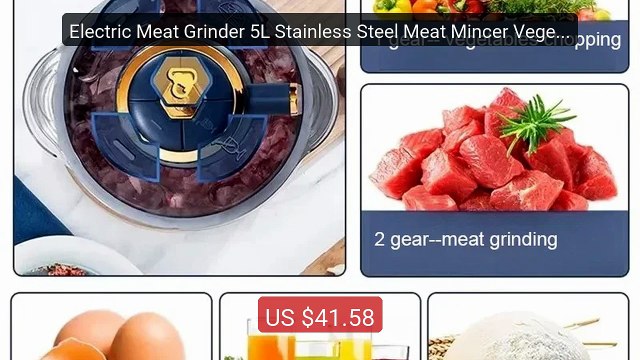Electric Meat Grinder 5L Stainless Steel Meat Mincer Vegetables Ble... Top Rated 2026 | Buy Now!
