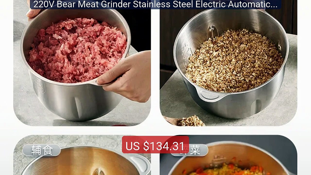 220V Bear Meat Grinder Stainless Steel Electric Automatic Mult... -- Best Buy 2026 | Great Quality!