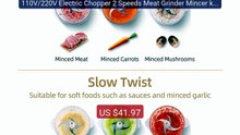 110V/220V Electric Chopper 2 Speeds Meat Grinder Mincer kitch... -- Amazing Value 2026 | Must Have!