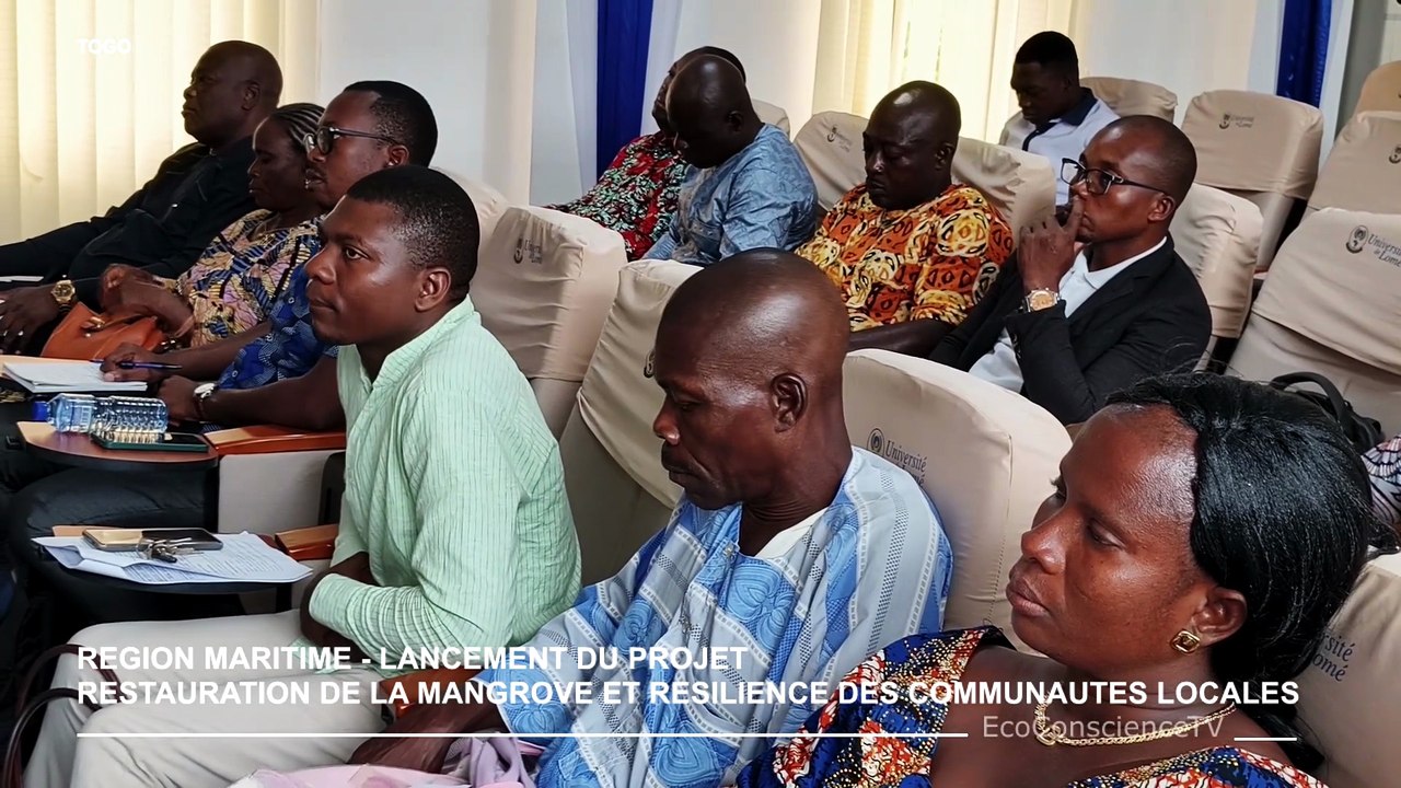 🌍TOGO: RESTAURATION DES ECOSYSTEMES DE MANGROVE 🌱