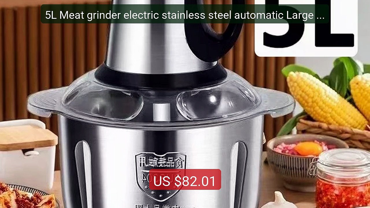 5L Meat grinder electric stainless steel automatic Large Capacity h... -- Top Rated 2026 | Buy Now!