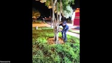 She Met Her Match #DailyDose #FunnyVideo
