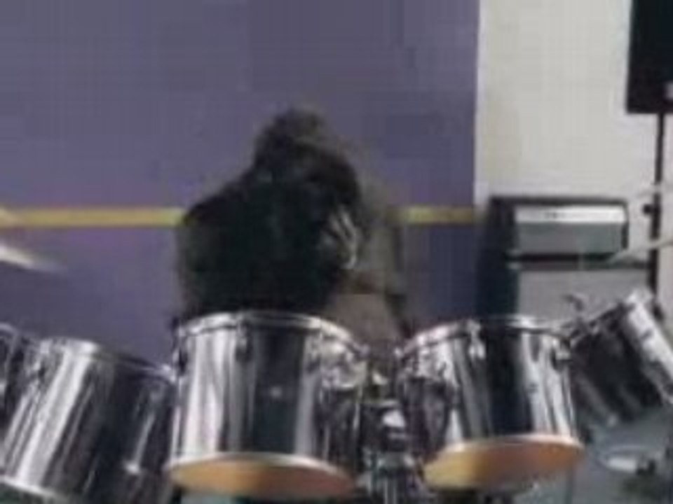 Gorilla Cadbury