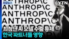 미국, 최첨단 AI 모델까지 수출 통제...한국 파트너들도 영향 / YTN