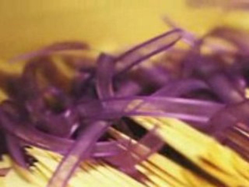 Professional Wedding Videographer San Francisco