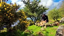 Men With the Pot Season 1 Episode 12 Full Episode HD Online