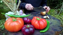 Men With the Pot S01E08