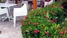 HOTEL RESORT, SOL PUNTA CANA,LA ALTAGRACIA,REGION ESTE,REPUBLICA DOMINICANA.