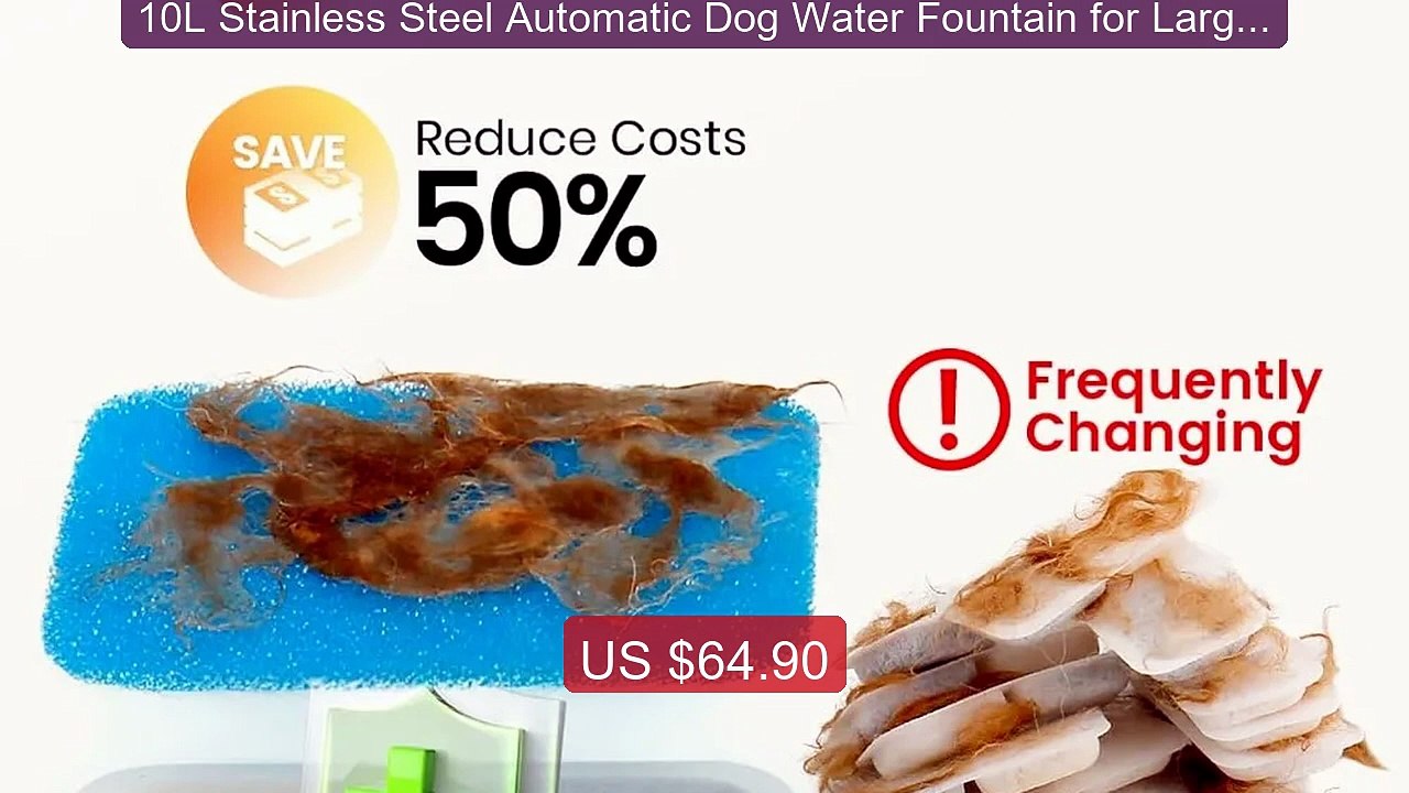 10L Stainless Steel Automatic Dog Water Fountain for Large Dog... -- Hot Deal 2026 | Limited Offer!