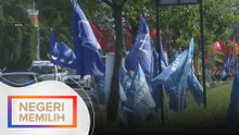 BN tekad guna logo dacing dalam PRN Johor, N9