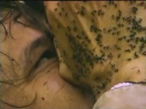 NATIONAL GEOGRAPHIC Les photographes.1