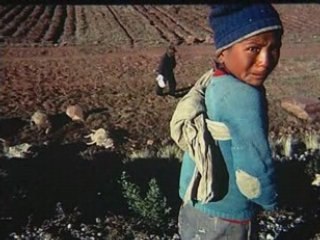 NATIONAL GEOGRAPHIC Les photographes.3