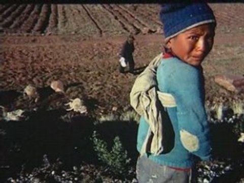 NATIONAL GEOGRAPHIC Les photographes.3