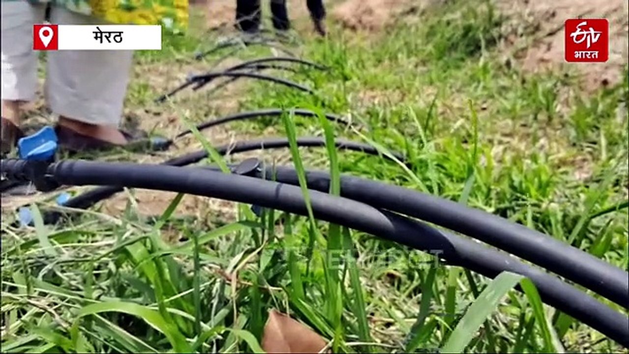 Drip Irrigation; यूपी सरकार की ये शानदार स्कीम...