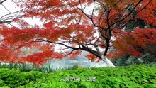园林 Garden @ 影响世界的中国植物 The Journey of Chinese Plants