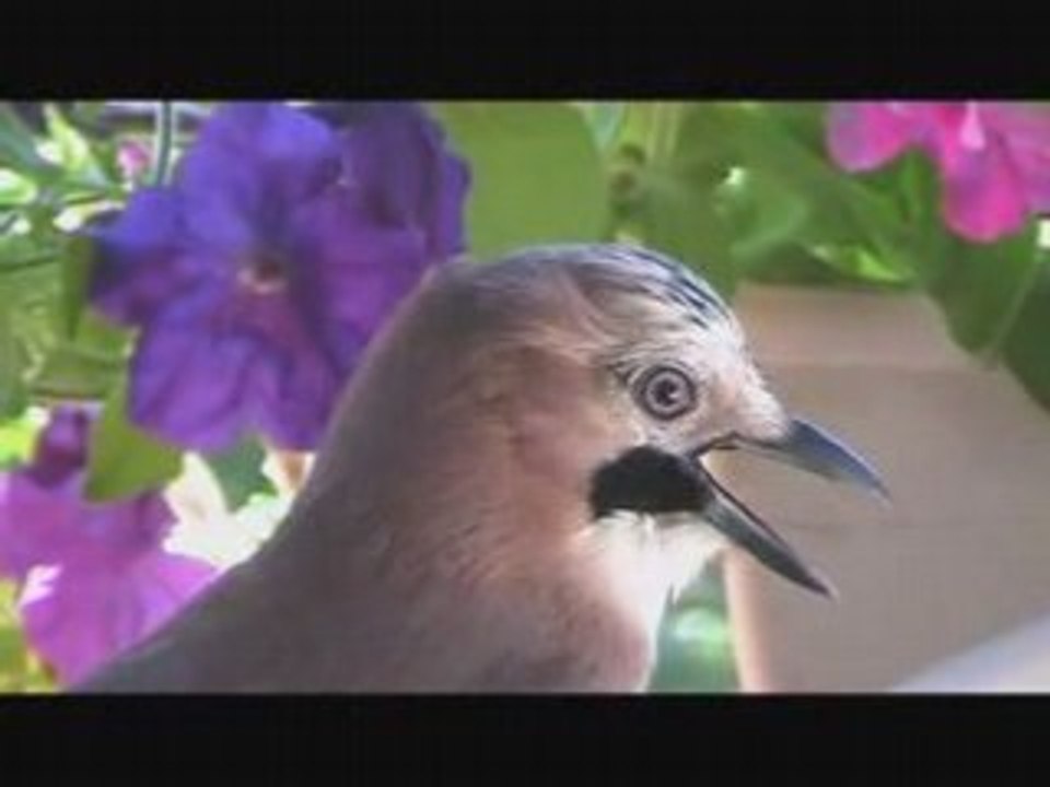 C'est l'été