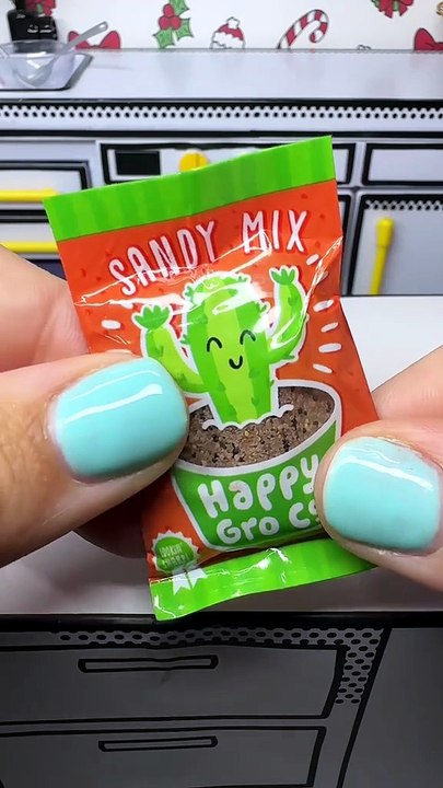 Mini succulent  #asmr #asmrsounds