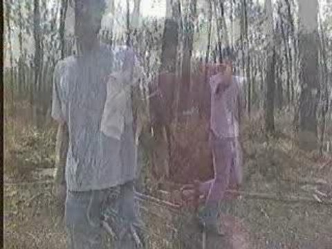 VTT dans la forêt des Landes (suite)