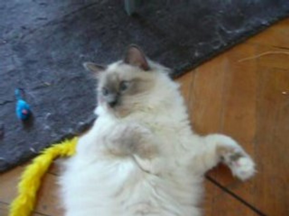 Faire les cartons c'est trop fatiguant