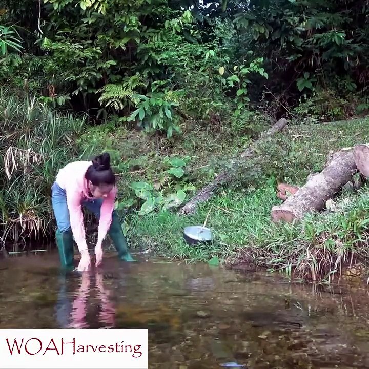 Young Couple Roofs Bamboo House with Palm Leaves | DIY Natural Building & Simple Living
