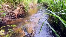 Building an Amazing Shelter Over the WATER with Plastic Wrap RELAXING CAMP BUSHCRAFT TENTSURVIVAL