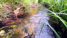 Building an Amazing Shelter Over the WATER with Plastic Wrap RELAXING CAMP BUSHCRAFT TENTSURVIVAL