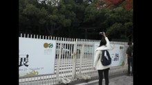 明治神宮・原宿（アレ論文の執筆に伴い、神社参拝への心理的抵抗が消えていた頃、2017年11月）
