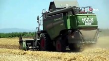 Üreticiye müjdeli haber: Saman fiyatları yarı yarıya geriledi